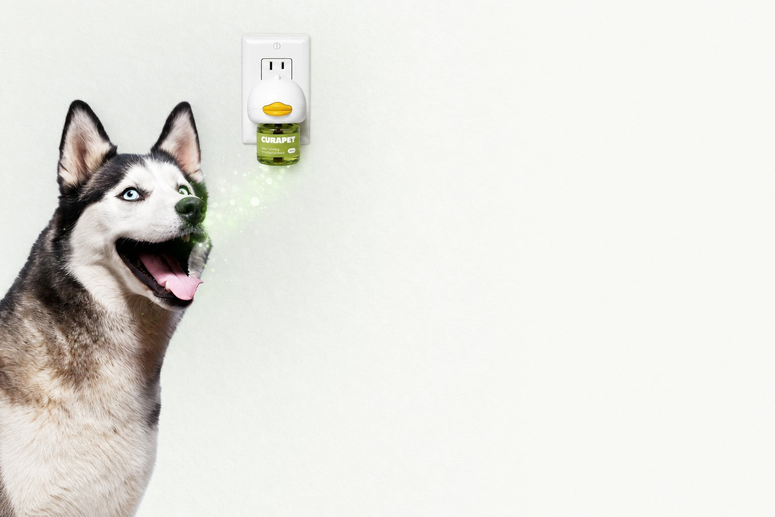 Husky beside a CURAPET wall diffuser
