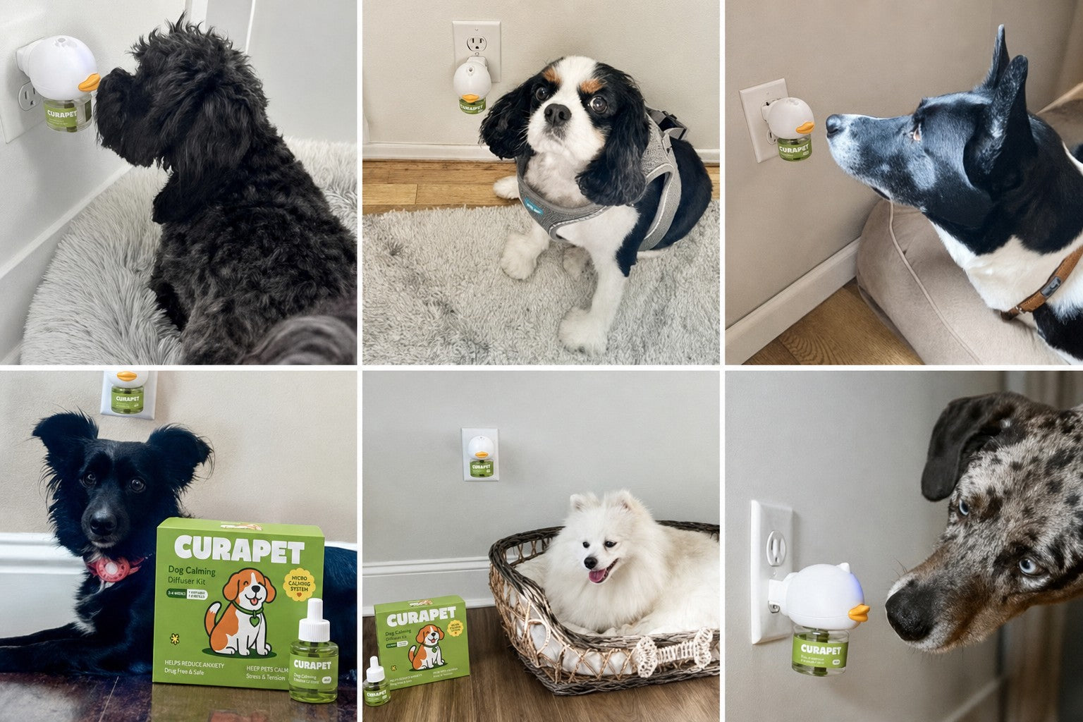Dogs at home with CURAPET diffusers